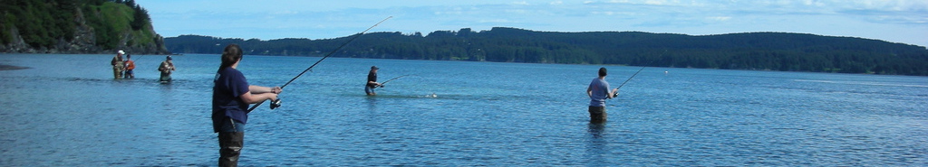 Wild Salmon Fishing header image 2